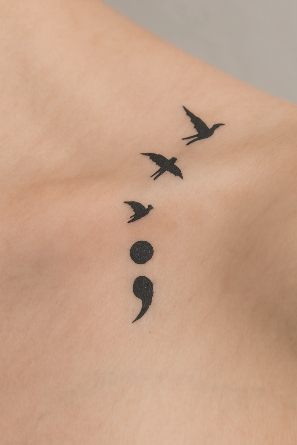 Birds Transitioning into a Semicolon