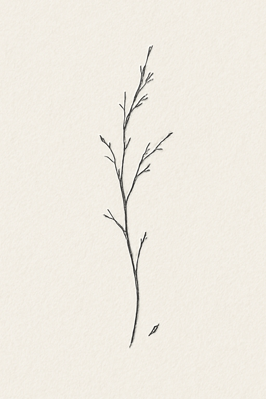 Minimalist Tree Branch Design — “A Single Reaching Arm”