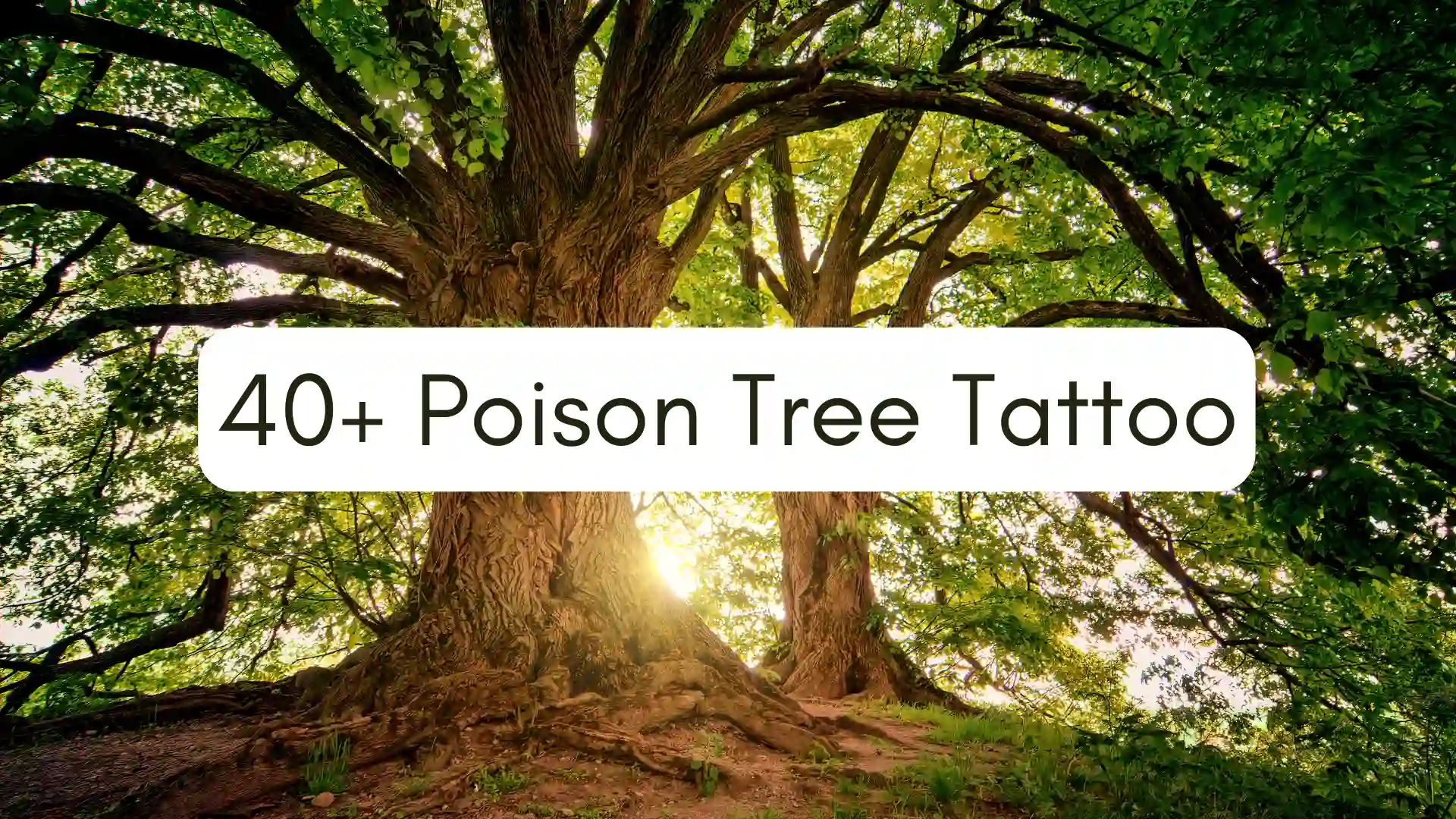 40+ Poison Tree Tattoo Designs